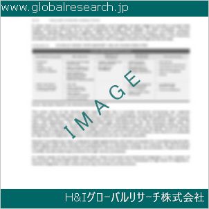 グローバルリサーチ調査資料のイメージ
